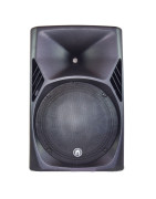 Bafle amplificado DSP Alta potencia 15 pulgadas 800W RM...