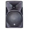 Bafle amplificado DSP Alta potencia 15 pulgadas 800W RM...