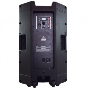 Bafle amplificado DSP Alta potencia 15 pulgadas 800W RM...