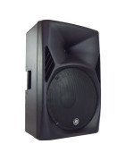 Bafle amplificado DSP Alta potencia 15 pulgadas 800W RM...