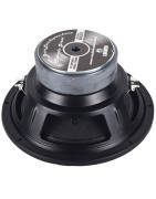 Subwoofer Bocina Woofer 12 Pulgadas Doble Bobina Spl