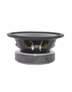 Bocina 6.5 Pulgadas Profesional Para Line Array 8 Ohms