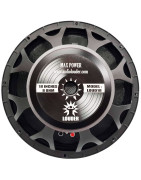 Bocina 18 Pulgadas Graves Profesional Alto Poder Bajo W...