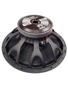 Bocina 18 Pulgadas Graves Profesional Alto Poder Bajo W...