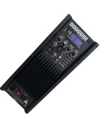 Modulo Amplificador Profesional 500w Rms Con Crossover