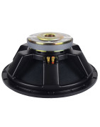 Bocina 18 Pulgadas Graves Profesional P/ Armar Bajos Wo...
