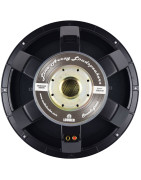 Bocina 18 Pulgadas Graves Profesional P/ Armar Bajos Wo...