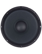 Bocina 18 Pulgadas Graves Profesional P/ Armar Bajos Wo...