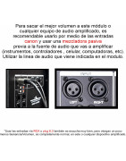 Modulo Amplificador Graves Subwoofer Amplifica 2 Graves...