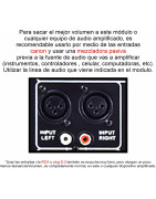 Modulo Amplificado Bluetooth/usb Para Subwoofer 600 Wat...