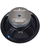 Par Bocina 12 Pulgadas Profesional Line Array 4 Ohms