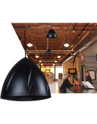 Bocina Sonido Ambiental Colgante Bafle Ambiental Negro