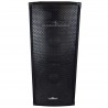 Bafle Bocinas Pasivo 12 Concert 2x12 Para Dj Grupo 350w Rms