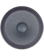 Bocina 21 Pulgadas P/ Bafles Line Array Alta Potencia