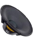 Bocina 21 Pulgadas P/ Bafles Line Array Alta Potencia