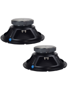 Par Bocina 12 Pulgadas Profesional Line Array 4 Ohms