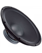 Par Bocina 12 Pulgadas Profesional P Bafles Consert 12ohm