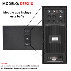 Subwoofer Amplificado Activo Sp-218 Doble De 18