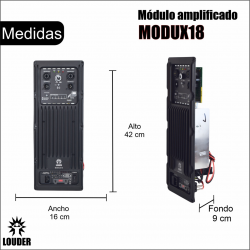 Modulo Amplificado DSP Para Subwoofer Alta Potencia