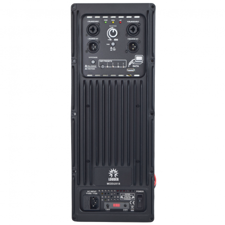 Modulo Amplificado DSP Para Subwoofer Alta Potencia