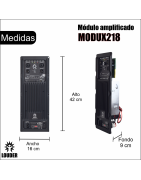Modulo Amplificado Para Bafles Subwoofer Dsp Alta Potencia