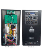 Modulo Amplificador Digital Profesional 600w Rms Crosso...