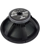 Bocina 18 Pulgadas Graves Profesional Alto Poder Bajo W...