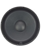Bocina 18 Pulgadas Graves Profesional Alto Poder Bajo W...