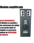 Modulo Amplificado Dsp Subwoofer Bajos Graves Clase D 1200w