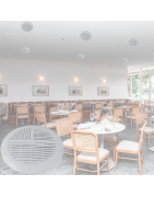 YPW-616A Bocina Plafon 5 Pulgadas Sonido Ambiental Con Transformador