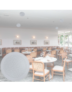 YPW-711 Bocina Plafon Tranformador 100 V 3 Pulgadas Sonido Ambiental