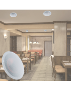 YPN-80 Bocina Plafon Dos Vias 8 Pulgadas Sonido Ambiental