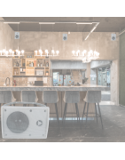 YSK-0204TSWH Par Bafle Sonido Ambiental Interior Exterior C Transformador