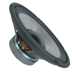 Y10302 Bocina 10" Ideal Para Bafles Profesional 200w RMS Por Pieza
