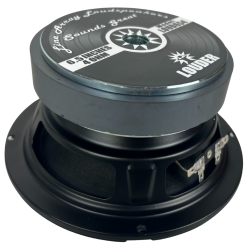 2 Bocinas 6.5 Pulgadas Profesional Par Line Array 4 Ohm...