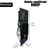 XNDSP Modulo Bi Amplificado Para Bafles o Rockolas 350W Bluetooth