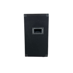 Bafle Profesional 10 Pulgadas Pasivo Madera Wahrgenomen