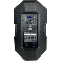 Bafle Bocina 15 Amplificado Alta Potencia Bluetooth Dsp